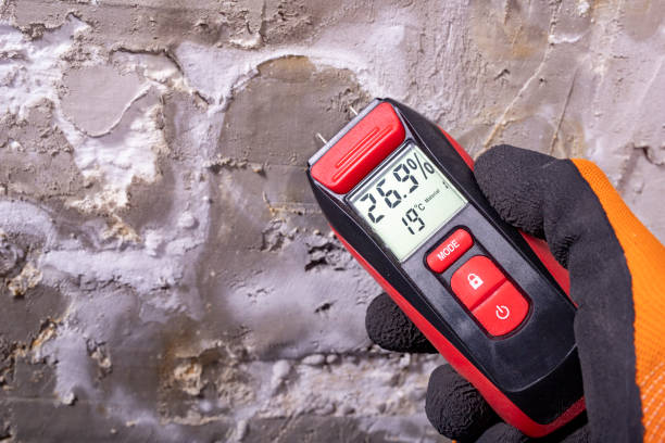 Best Certified Mold Removal  in Rising Sun Lebanon, DE